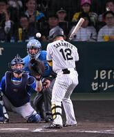 ５回、死球を受ける坂本（撮影・飯室逸平）