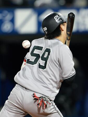 ８回、背中に死球を受ける鈴木大（撮影・伊藤笙子）