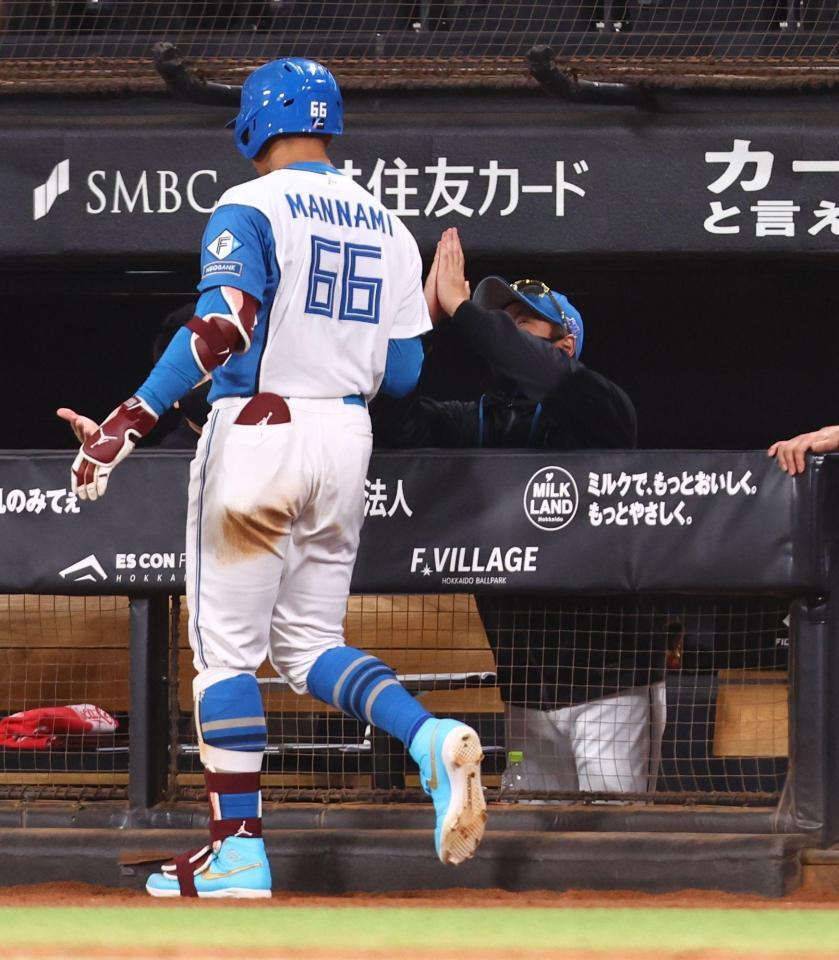 ８回、同点ソロを放った万波（左）を手を合わせて迎える新庄監督（撮影・中島達哉）