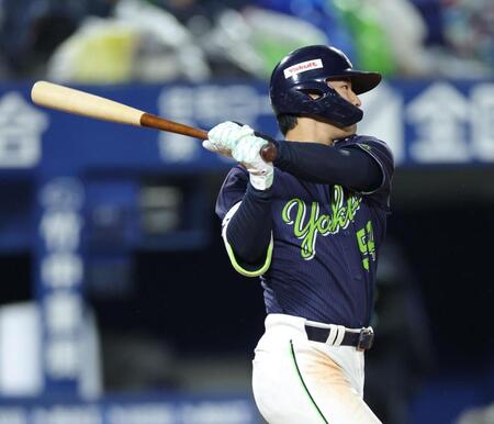 ５回、犠飛を放つ田中（撮影・西岡正）