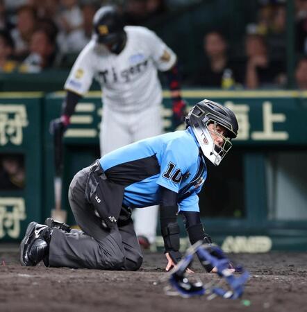 ８回、投球が頭部に当たり、グラウンドに倒れ込む名幸球審（撮影・山口登）