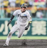 ３回、中野の安打で三塁へ走る近本（撮影・田中太一）
