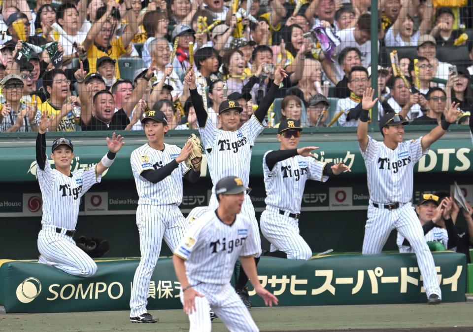 ３回、阪神・森下翔太の適時打に沸く阪神・神宮僚介（左から２人目）ら阪神ナイン＝甲子園（撮影・飯室逸平）