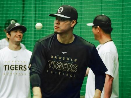 　室内練習場で調整する阪神・佐藤＝甲子園