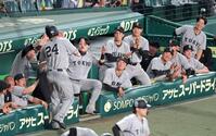 ４回、吉川の適時打で先制し、生還した大城（２４）を迎えて沸き上がる巨人ベンチ（撮影・立川洋一郎）