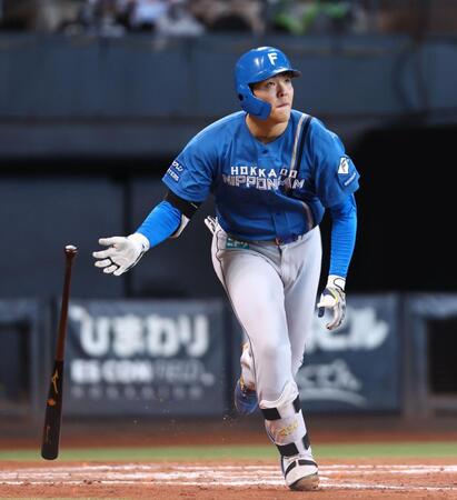 ８回、２ランを放つ紅組・柴田（撮影・中島達哉）