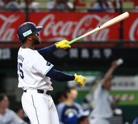 １０回、サヨナラソロを放つカナリオ（撮影・中島達哉）