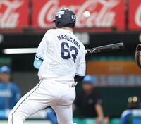 ５回、死球を受ける長谷川（撮影・金田祐二）