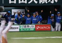 ３回、柴田の勝ち越し犠飛で郡司が生還し、沸き上がる日本ハムナイン（撮影・中島達哉）