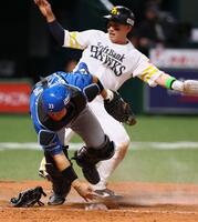 ４回１死満塁、日本ハム・柴田獅子の悪送球で生還したソフトバンク・栗原陵矢（捕手日本ハム・進藤勇也）＝みずほｐａｙｐａｙドーム福岡（撮影・中島達哉）
