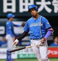 ４回、空振り三振を喫する万波（撮影・中島達哉）