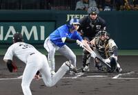 １回、送りバントをする佐野（投手・才木、捕手・梅野）＝撮影・山口登
