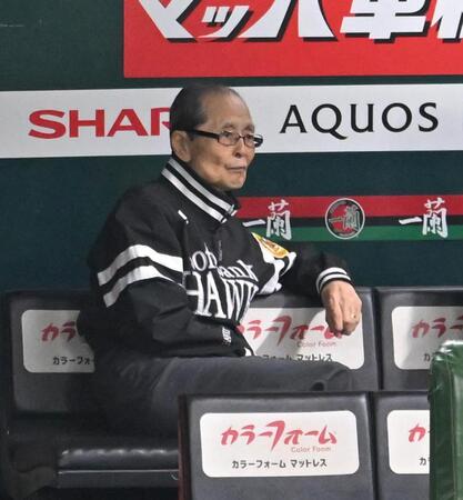 ベンチから練習を見守る王貞治会長（撮影・飯室逸平）