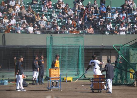 打撃練習を見る松井監督（撮影・金田祐二）