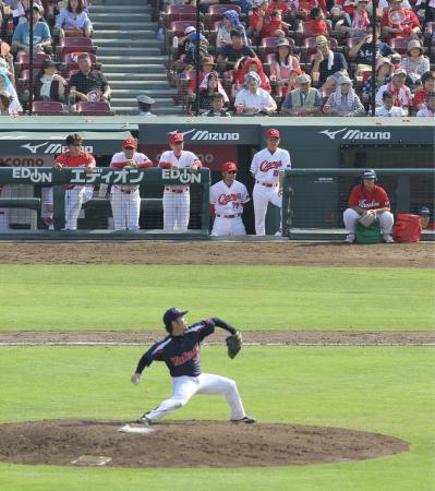 　ベンチからヤクルト・小川（手前）の投球を見つめる野村監督（左から２人目）と新井コーチ（右端）＝撮影・出月俊成