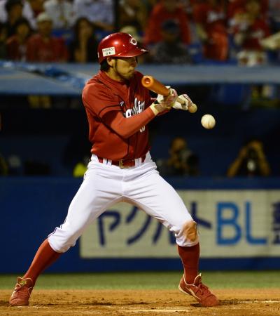 　延長１２回、投前犠打を決める菊池（撮影・園田高夫）