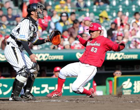 　８回、堂林の中犠飛で生還した田中（撮影・棚橋慶太）