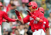 ５回、２ランを放ち気合いの表情で生還する広島・新井貴浩（右）＝甲子園（撮影・保田叔久）