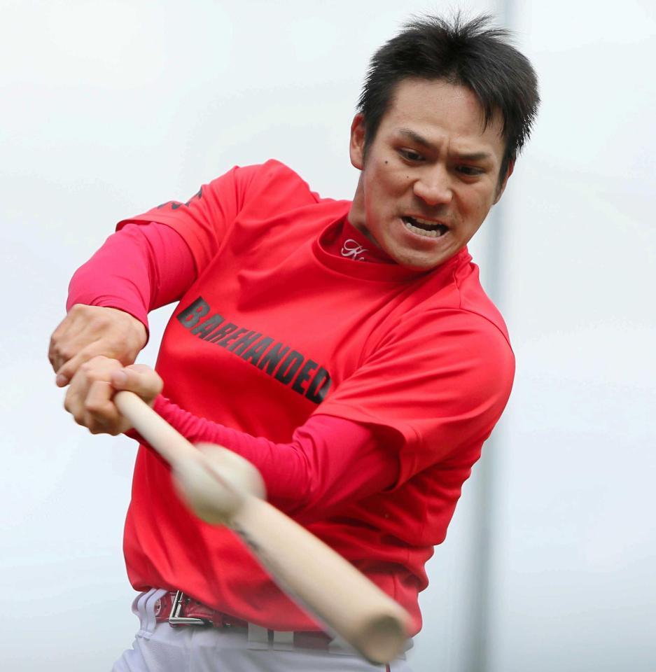 気合の入った打撃練習をする田中（撮影・出月俊成）