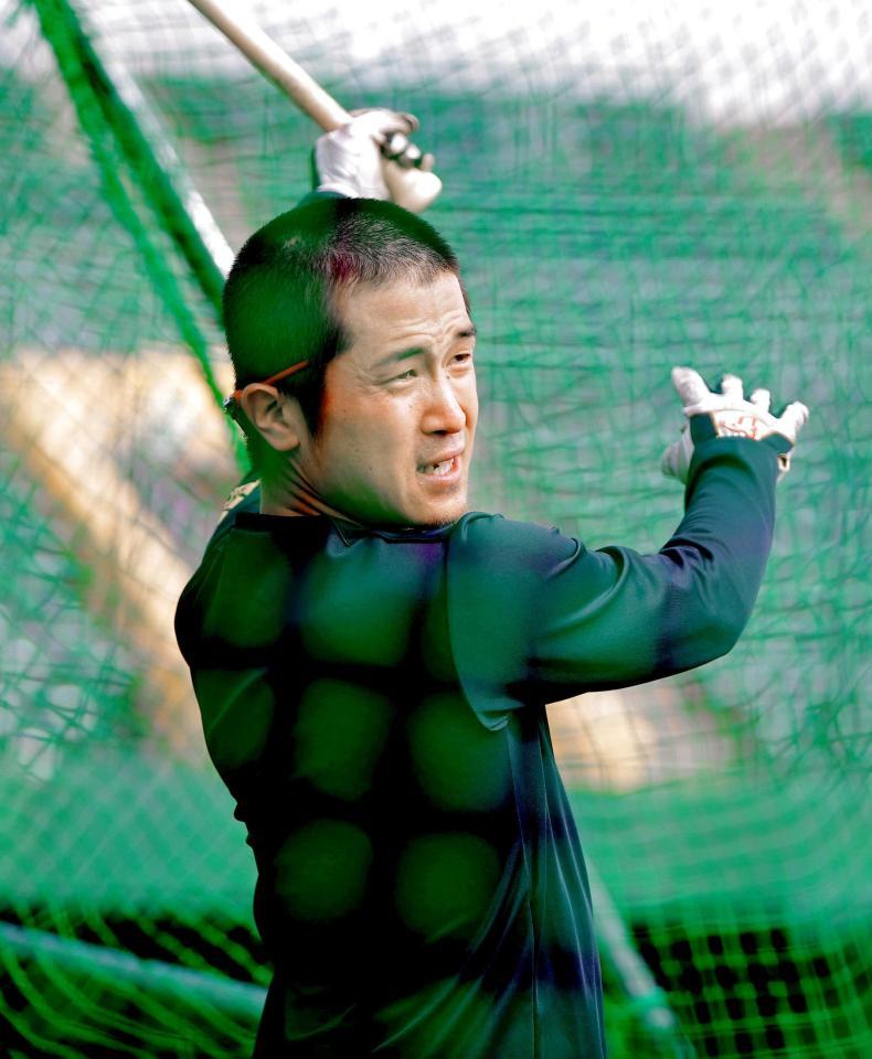 　丸刈り頭で黙々とフリー打撃を行う上本（撮影・吉澤敬太）