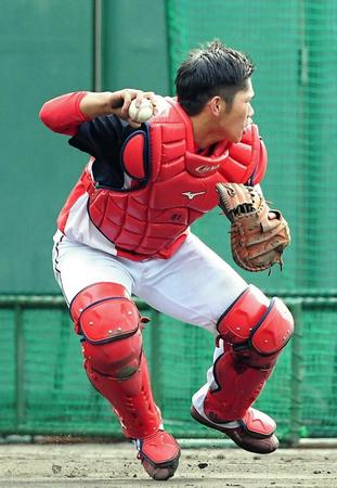 　俊敏な動きで守備練習を行う坂倉（撮影・堀内翔）