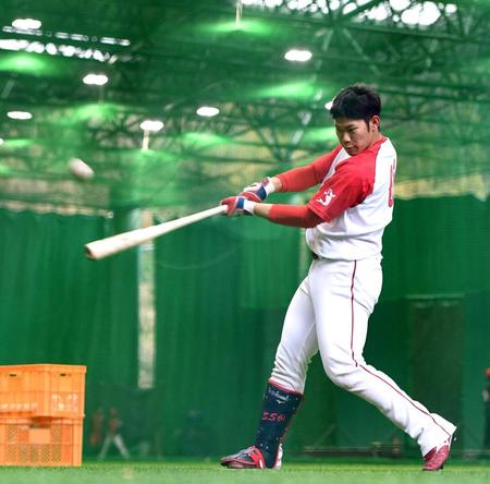 黙々と打撃練習する坂倉