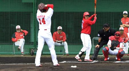 紅白戦で投球する大瀬良を見つめる安仁屋臨時コーチ（後方左）と緒方監督