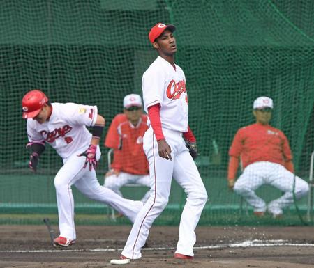 　シート打撃で丸（左奥）を内野ゴロに打ちとるアドゥワ。右奥は緒方監督（撮影・飯室逸平）