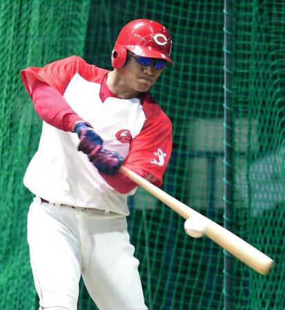 打撃練習に汗を流す広島・田中広輔＝マツダスタジアム（撮影・飯室逸平）