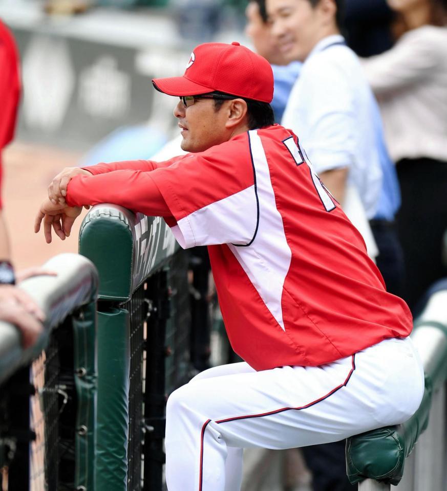 ベンチから練習を見守る広島・緒方孝市監督＝マツダスタジアム（撮影・飯室逸平）