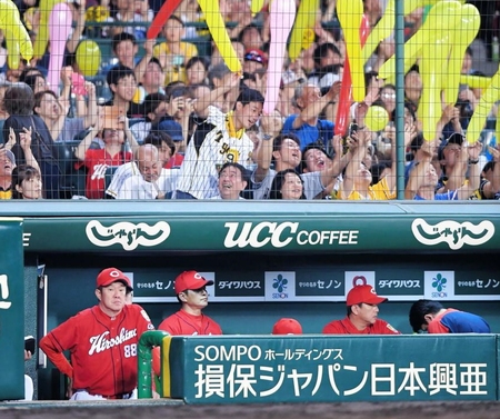 　７回、グラウンドを見つめる広島・緒方孝市監督（左から２人目）＝甲子園（撮影・田中太一）