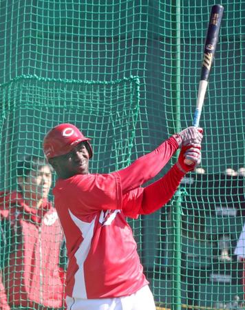 ランチ特打で打ち込む広島・Ｊ．ピレラ＝天福球場