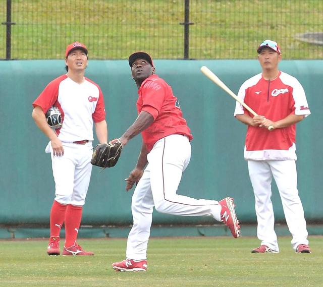 広島 ピレラ ２９日中日戦以降に左翼テスト 長野 野間 宇草とバトル激化 広島カープ 野球 デイリースポーツ Online