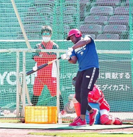 　フリー打撃を再開して打ち込む広島・ピレラ＝マツダスタジアム（撮影・立川洋一郎）