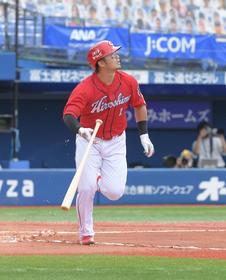 広島東洋カープ スタジアムゲリラ限定 ビジターCarp 鈴木誠也１ハイ