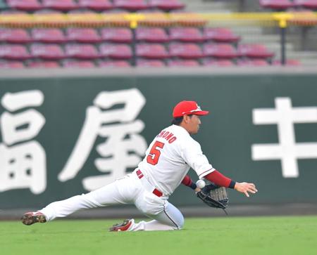 ２回、打球に飛び込む広島・長野＝マツダスタジアム（撮影・立川洋一郎）