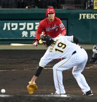 　８回、藤浪から中前打を放つ田中広（撮影・飯室逸平）