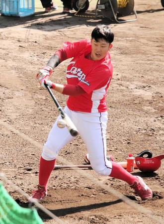 　ティー打撃を行う広島・小園