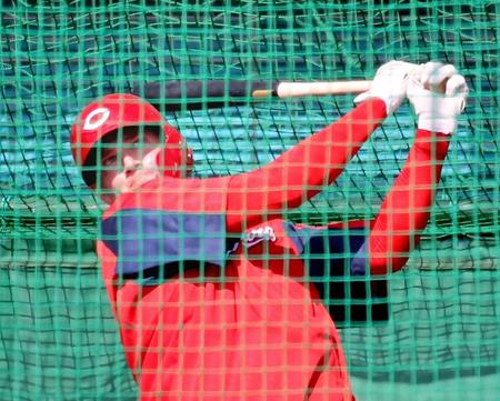 ランチ特打で柵越えする打球を放つ広島・Ｋ・クロン＝コザしんきんスタジアム