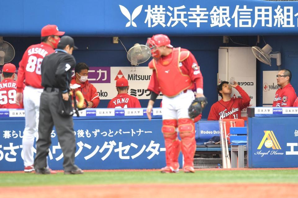 ５回、投手交代を告げる佐々岡真司監督（左）の向こうで水を飲み干す広島・野村祐輔（右から２人目）＝横浜スタジアム（撮影・西岡正）
