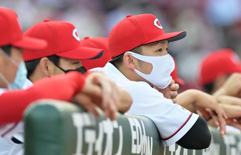 ベンチから戦況を見守る広島・鈴木誠也（撮影・立川洋一郎）