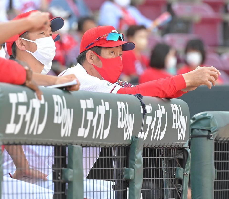 　７回、ベンチから戦況を見守る佐々岡監督（撮影・高部洋祐）