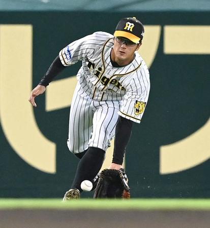 　８回、会沢の打球を好捕する板山（撮影・飯室逸平）