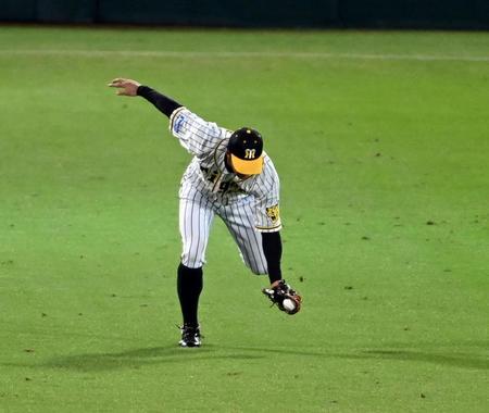 　８回、板山は会沢の打球を好捕する（撮影・山口登）