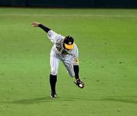 　８回、板山は会沢の打球を好捕する（撮影・山口登）