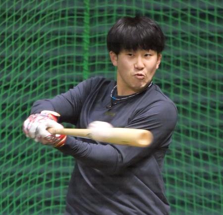 フリー打撃で快音を響かせる広島・小園（撮影・立川洋一郎）