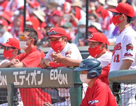 　戦況を見守る佐々岡監督（中央）＝撮影・立川洋一郎