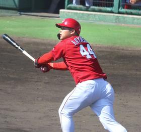 広島・林　新井新監督に届け完璧弾　フェニックス・Ｌ開幕いきなり！猛アピール