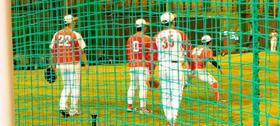 広島　上本や中村奨らが秋季練習　フリー打撃やノックなどで汗
