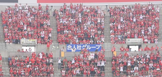 広島　新井監督「うれしいこと」鳴り物＆スクワット応援を３月１１日から解禁　マスク着用は引き続き要望